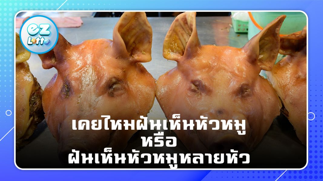 เปิดความหมาย ฝันเห็นหัวหมู และเลขเด็ด