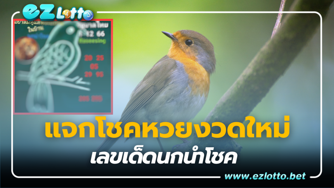 แจกโชคหวยงวดใหม่ เลขเด็ด นกนำโชค  1 12 66